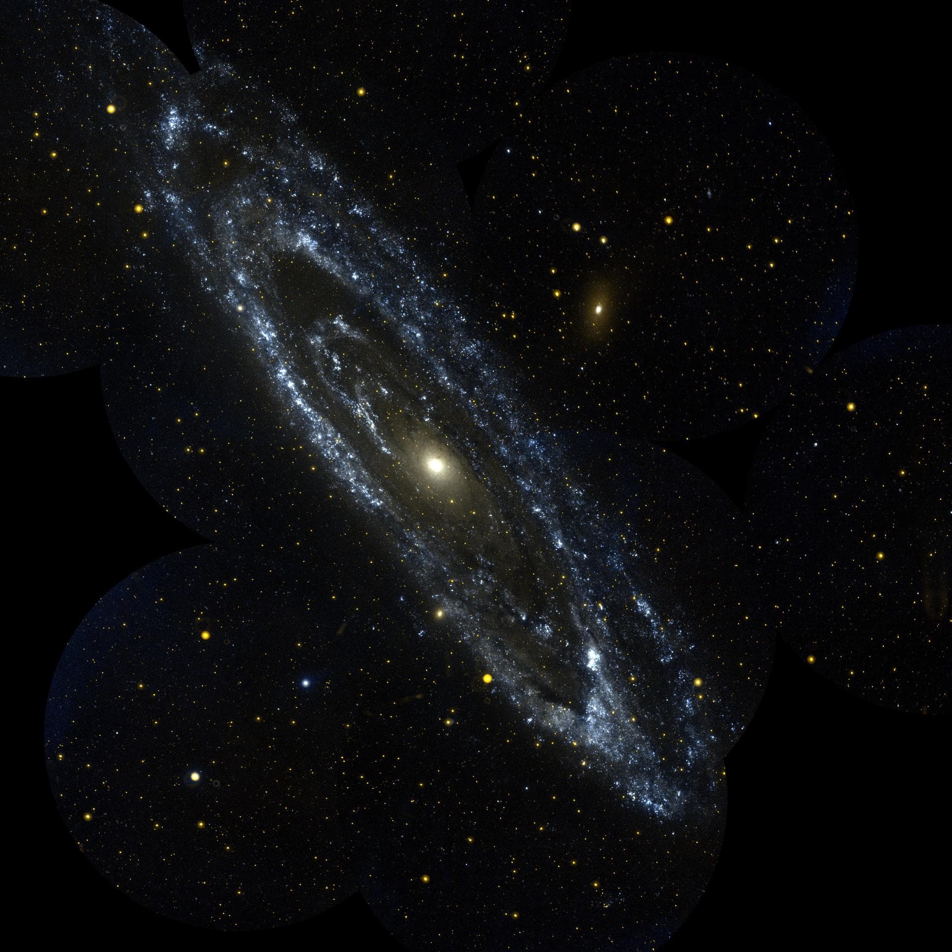The Andromeda galaxy, Messier 31, in an ultraviolet observation from NASA’s Galaxy Evolution Explorer.