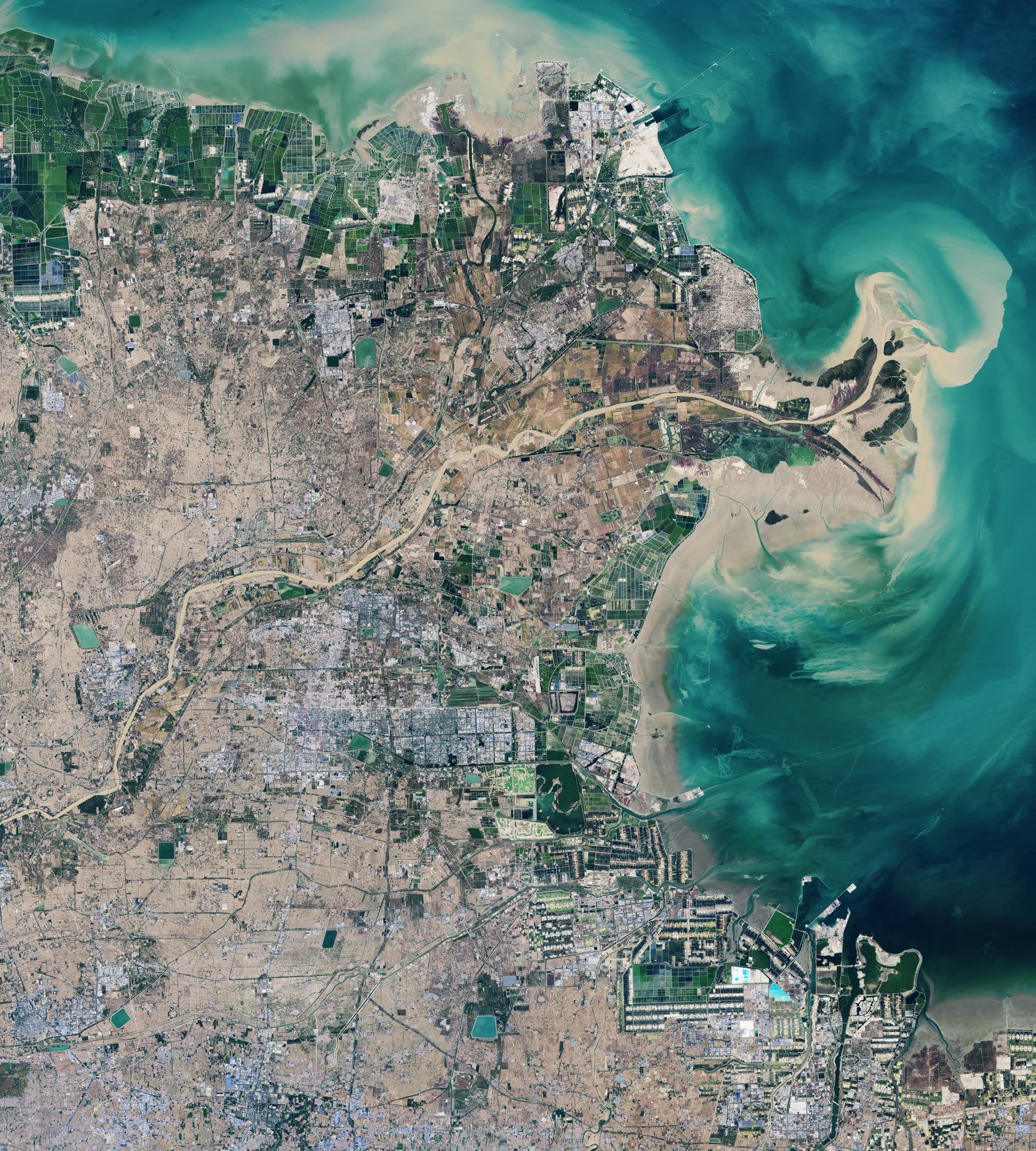 The Yellow River delta seen from Landsat, sediment spreading into the sea.